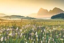 90比分即时手机足球比分-掌中烽火，90比分APP——足球迷的即时战况指挥官