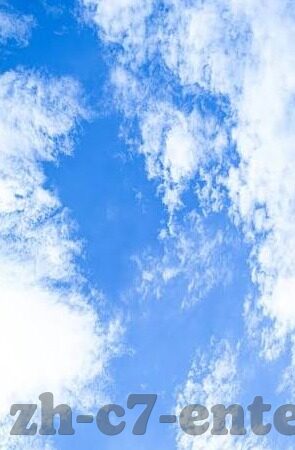 探网足球即时比分-探网足球即时比分，球迷的实时战场与数据盛宴