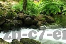 专家推荐足球比分-揭秘足球比分预测，专家推荐背后的科学与艺术